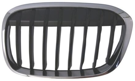 BMW Radiateurgrille 6502070082993MP