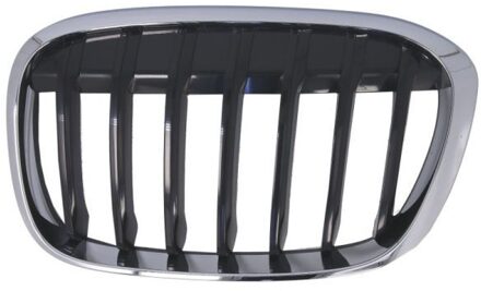 BMW Radiateurgrille 6502070082993P