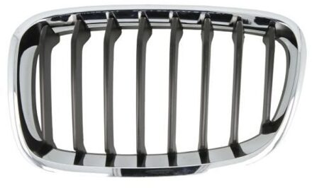 BMW Radiateurgrille 6502070086995P