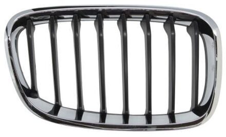 BMW Radiateurgrille 6502070086996P
