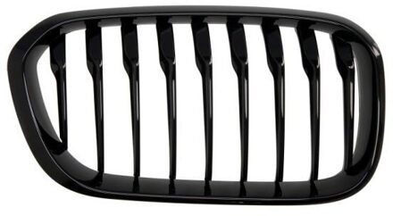 BMW Radiateurgrille 6502070086998P