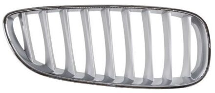 BMW Radiateurgrille 6502070089998P