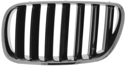 BMW Radiateurgrille 65020700939910P
