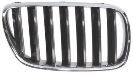 BMW Radiateurgrille 65020700939920P
