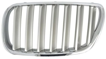 BMW Radiateurgrille 65020700939930P