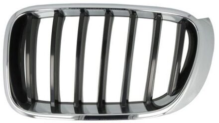 BMW Radiateurgrille 65020700939933P