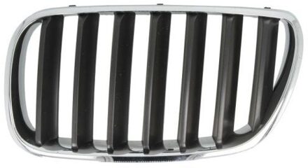BMW Radiateurgrille 65020700939950P