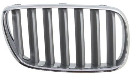 BMW Radiateurgrille 65020700939960P