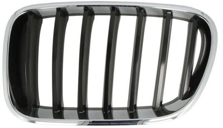 BMW Radiateurgrille 65020700939970P