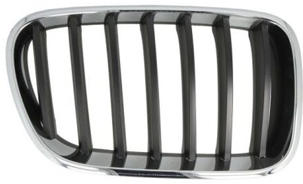 BMW Radiateurgrille 65020700939980P