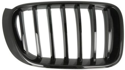 BMW Radiateurgrille 65020700939988P