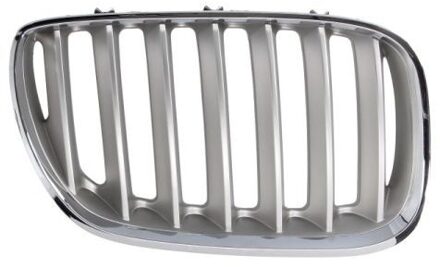 BMW Radiateurgrille 6502070095998P