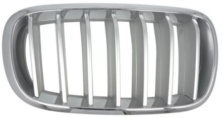 BMW Radiateurgrille 65020700969966P