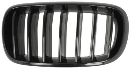 BMW Radiateurgrille 65020700969977P