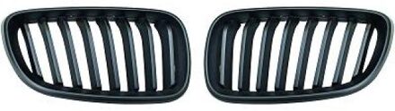 BMW Radiateurgrille inzet 1235240