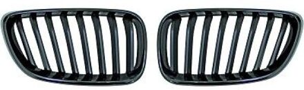 BMW Radiateurgrille inzet 1235340