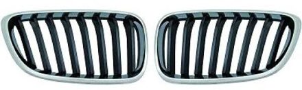 BMW Radiateurgrille inzet 1235440