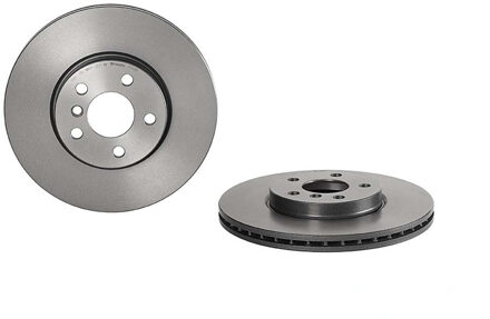 BMW Remschijf 09C35011