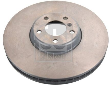 BMW Remschijf 171459