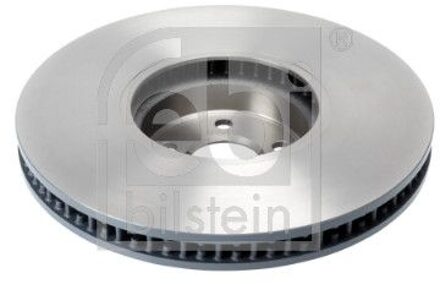 BMW Remschijf 175490