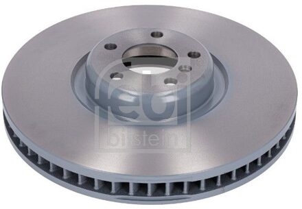 BMW Remschijf 193351