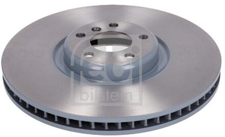 BMW Remschijf 193352