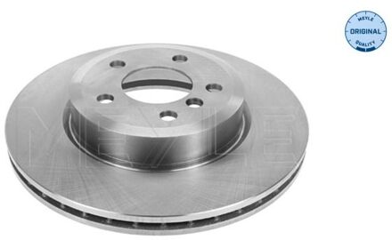 BMW Remschijf 3155213074