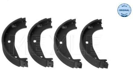 BMW Remschoenset, parkeerrem 3140420005