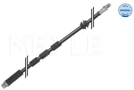 BMW Remslang 3005250002