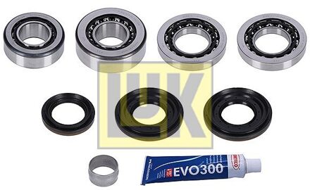 BMW Reparatieset, differentieel 462021610