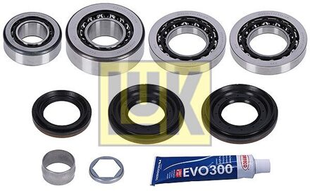 BMW Reparatieset, differentieel 462033010