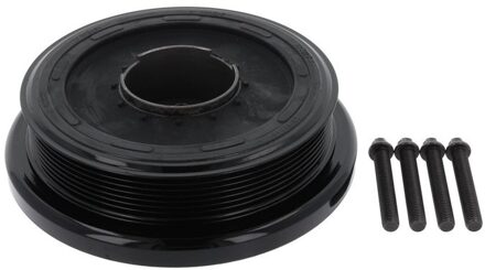 BMW Riemschijvenset, krukas 49419113