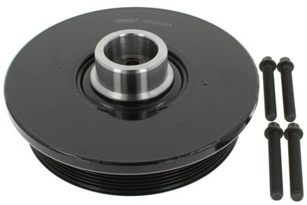 BMW Riemschijvenset, krukas 49419114