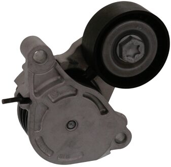 BMW Riemspanner, poly V-riem 100169