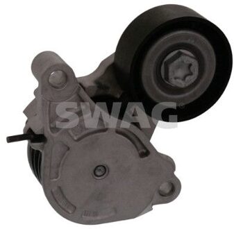 BMW Riemspanner, Poly V-riem 20100169