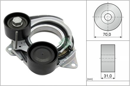BMW Riemspanner, Poly V-riem 534101010