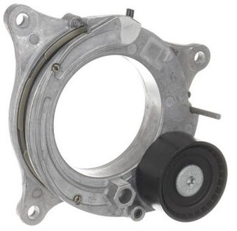 BMW Riemspanner, Poly V-riem VKM38015