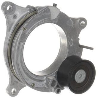 BMW Riemspanner, Poly V-riem VKM38091