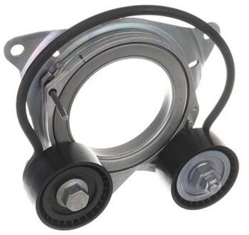 BMW Riemspanner, Poly V-riem VKM38924