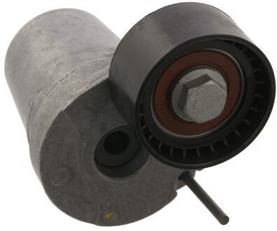 BMW Riemspanner, poly V-riem