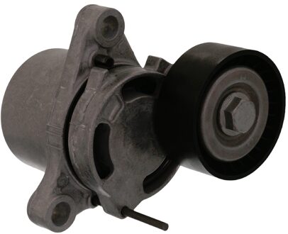 BMW Riemspanner, poly V-riem