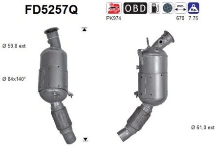 BMW Roetfilter FD5257Q