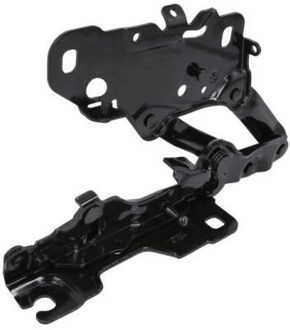 BMW Scharnier, motorkap 6802000098451P