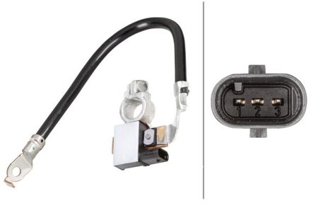 BMW Sensor, accumanagement 6PK010562901