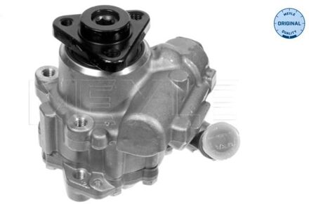 BMW Servo pomp 3146310000