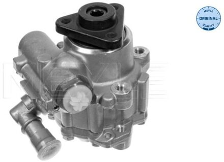BMW Servo pomp 3146310003