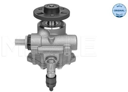 BMW Servo pomp 3146310020