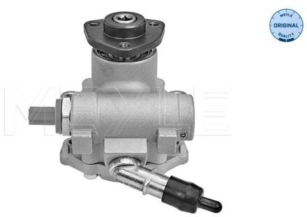BMW Servo pomp 3146310023