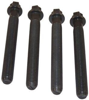 BMW Set schroeven voor riemschijf-nokkenas 80004865