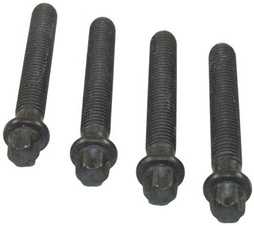 BMW Set schroeven voor riemschijf-nokkenas 80004878